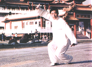 陈小旺大师在天后宫演示陈式太极拳 Grand Master Chen Xiao Wang demonstrating Chenshi Taijiquan at Thean Hou Temple, Kuala Lumpur