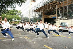 Taman Desa 陈式太极拳班 Chenshi Taijiquan (Taichi) class at Taman Desa, Kuala Lumpur